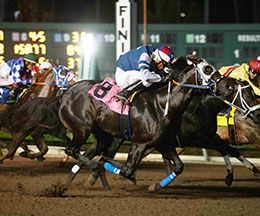 Accelerated gets up over fellow qualifiers French Valleyand Cheat Sheet in Race 9.
