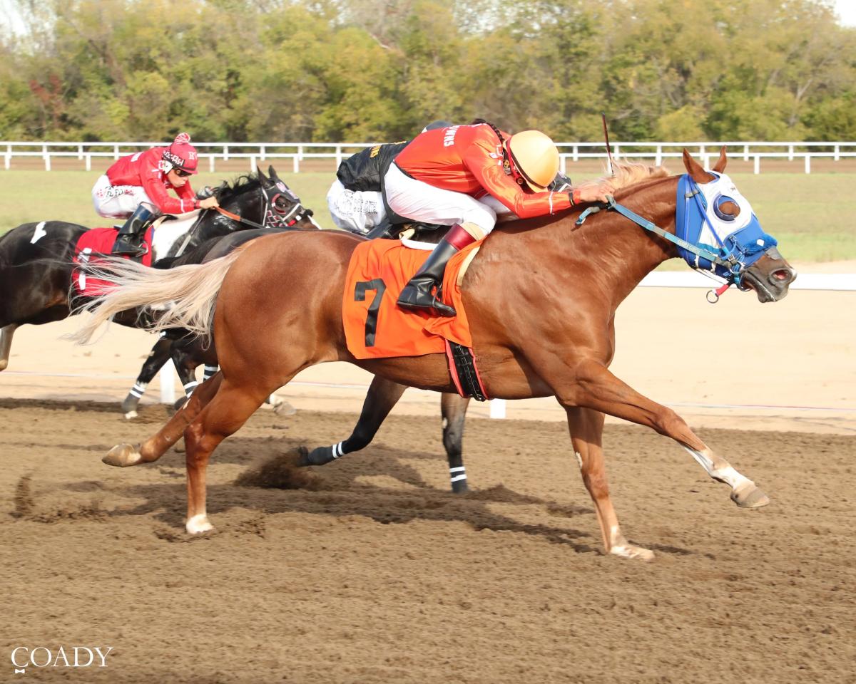 Wired BB Scores First Stakes Victory In $50,000 Paint By Numbers Stakes At Eureka Downs