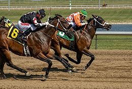 Heza Hott Ur Nott defeats High Rocky Mountain (#6) in the opening trial for the Alberta Stallion Stakes Derby.