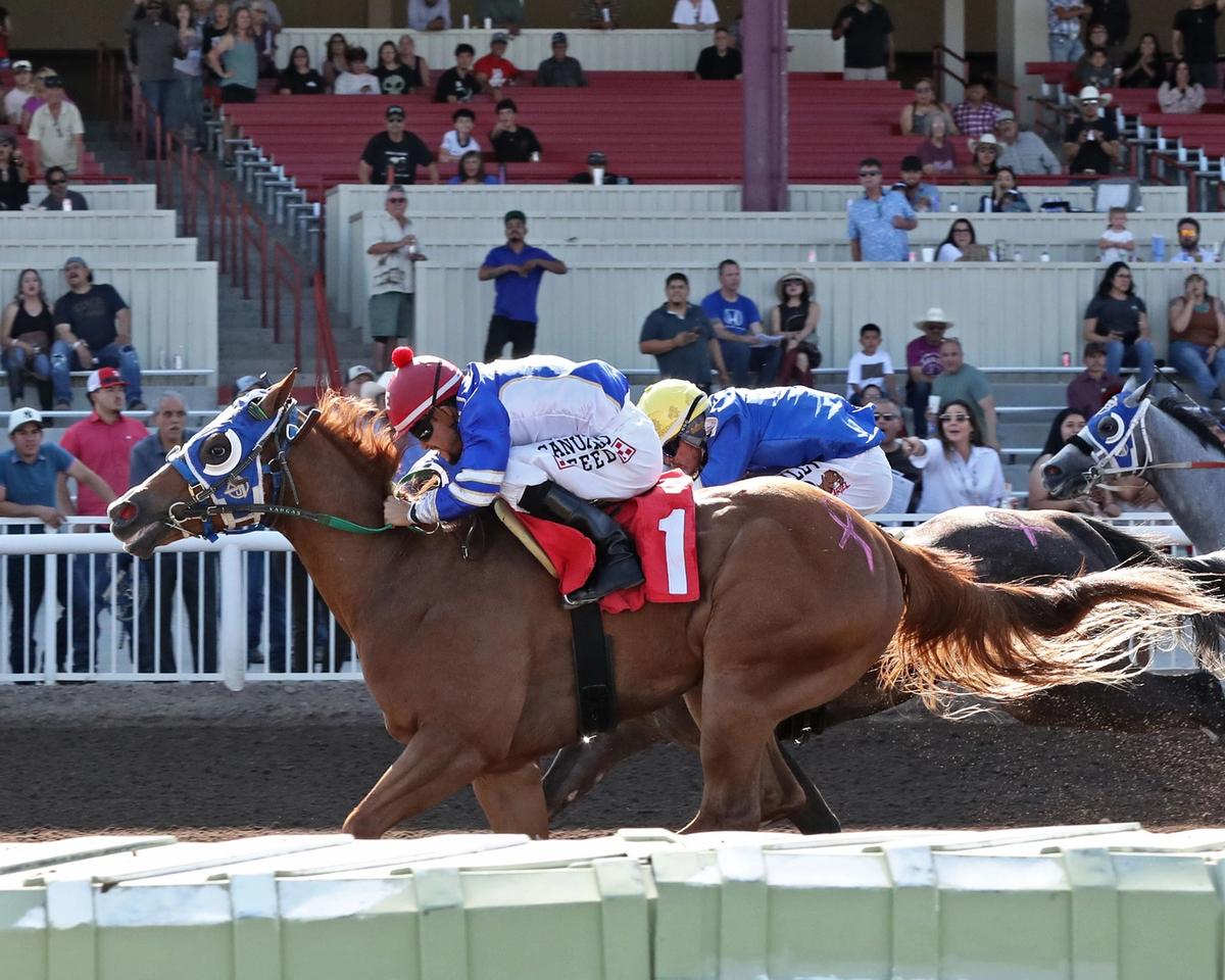 Tungsten Racing & Omar Vargas Bring A Powerful Hand Into $1.2 Million New Mexico State Fair Futurity Trials