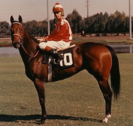Los Alamitos