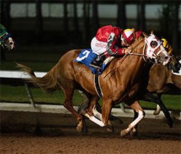 Golden State Million Futurity(G1) winner American Dreamin, under jockey Armando Cervantes, qualifying in the second trial.