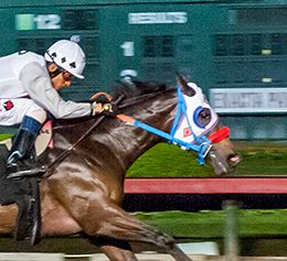 Los Alamitos