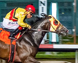 Los Alamitos