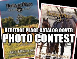 Heritage Place is hosting a photo contest to select the cover image for their Fall and Winter Mixed Sale catalog.gs.