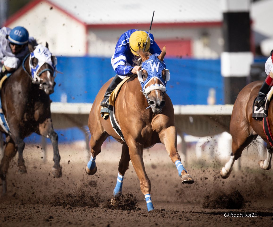 AQHA Racing Champion Two-Year-Old Filly Flying Joy 1 SI 102 won the 2026 $694,186 All American Oaks (G1).