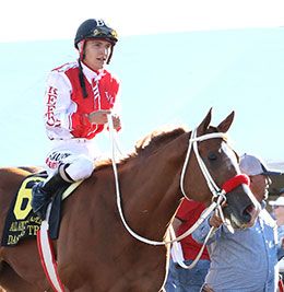 Last year's All American Futurity(G1) winner Hezgotthelook Z will head the Texas Classic Derby(G1) trials.