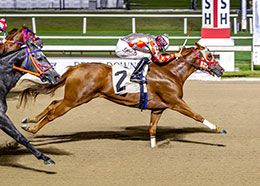 Famous Flying Cowgirl, under jockey Randy Edison, Jr., won an Allowance for 3-year-olds and up at Evangeline Downs on October 16.