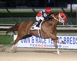 Vivance set another track record at Sam Houston Race Park aboard Cowgurl up last weekend.