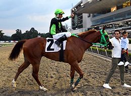 CC Regal Jack clocked the second fastest time Subasta Selecta Derby.