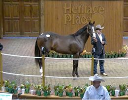 Tymetogojoe, a Heritage Place September Yearling Sale graduate, headlines Thursday’s Oklahoma-bred Futurity trials at Remington Park as one of trainer Jason Olmstead’s top contenders.