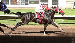 Lethal Lobo, under jockey Noe Garcia, Jr., scored the final spot on Day 2 in Trial 15.