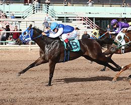 BM Candi wish wins the Turf Paradise Open Futurity Consolation on Monday.