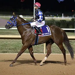 Just Dulce and jockey Christian Ramos return to the Texas Classic Derby(G2) winner's circle at Lone Star Park.