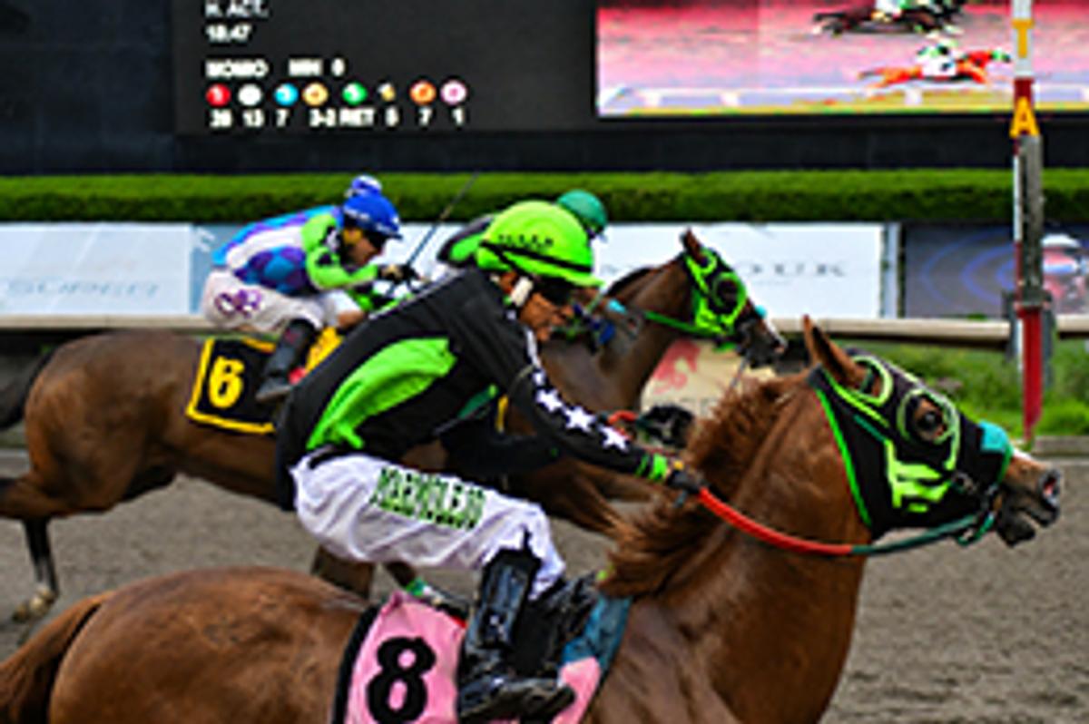 Miguel Angel Espinoza / Hipodromo de Las Américas