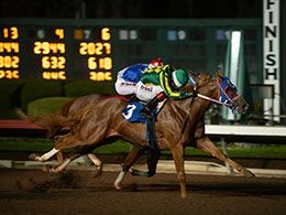 The Lady Is A Vamp, under jockey Henry Lopez, posted the second fastest time Sunday night.