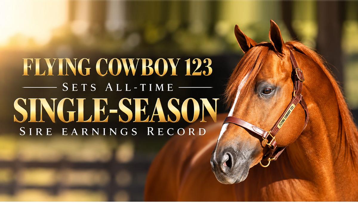 Flying Cowboy 123 Surpasses Apollitical Jess To Set All-Time Single-Season Sire Earnings Record