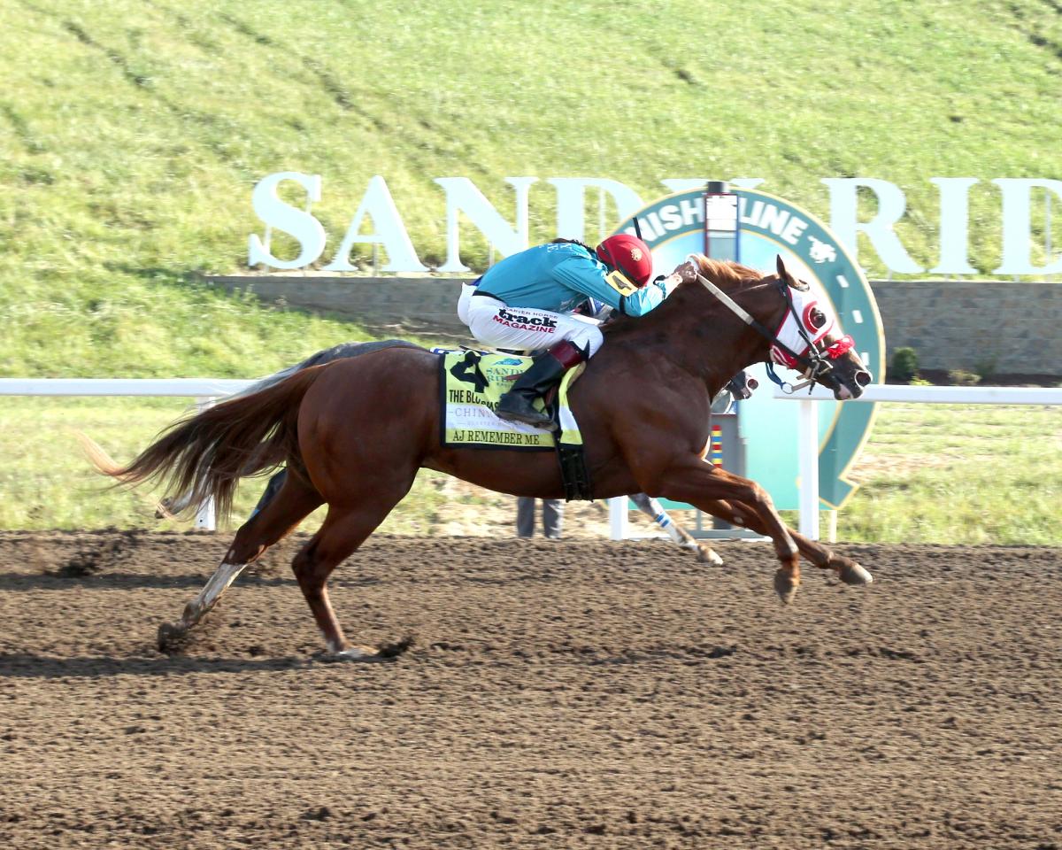 Fastest Qualifier AJ Remember Me Goes Gate-to-Wire in $165,600 Bluegrass Derby