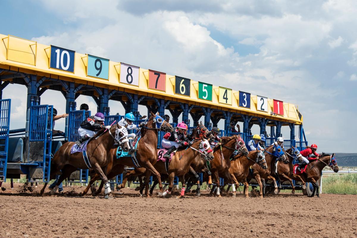 Wyoming Downs and 307 Horse Racing Cap Record-Breaking 2026 Season