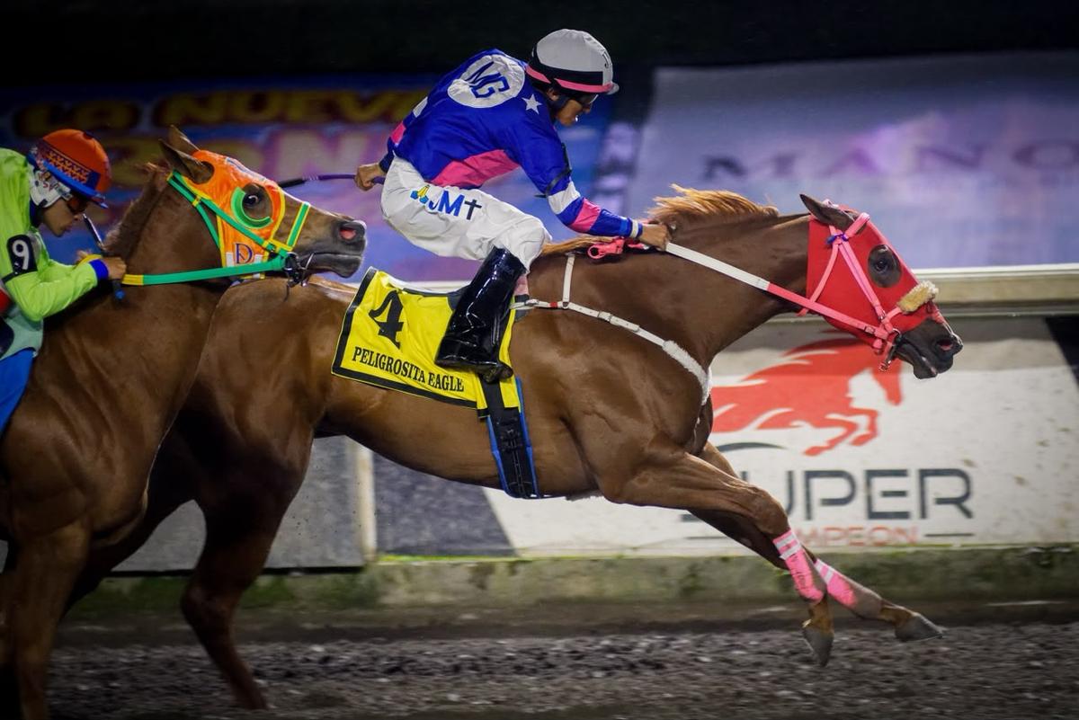 Peligrosita Eagle Reigns Supreme in the Subasta Selecta Futurity-RG2