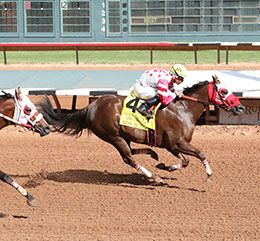 Victoria Garcia / Ruidoso Downs