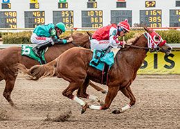 Ann Switalski Photography