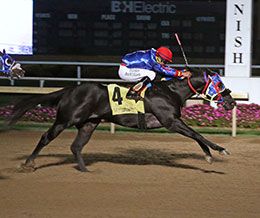 Hes Thunder Cartel, under jockey Isidro Banuelos, breaks his maiden at Horseshoe Indianapolis.