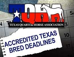 The TQHA has sent out a reminder for the 2026 deadlines for Racing and Breeding accreditation under the Accredited Texas-Bred Program.