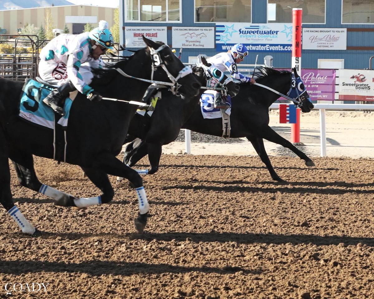 Western Dynasty Captures $25,000 WABRA Wyoming Bred Maturity Consolation