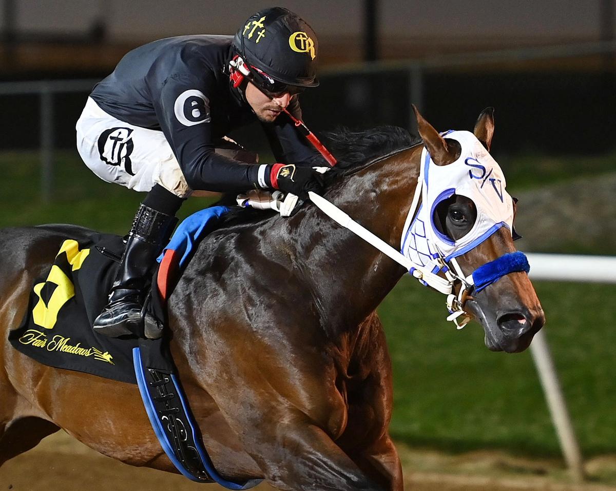 Sandy Ridge Opens 2026 Meet With BOCO Futurity And Bluegrass Derby Trials