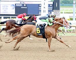 AJ Pure Gold (#6) defeated fellow qualifier Revvs Cowboy (#1) in the fourth trial on Saturday.