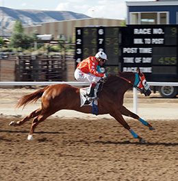 The Singaporean, under jockey Jesus Canales, winning the $145,3050 Sweetwater Futurity at Sweetwater Downs.