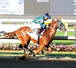 Macho Chick, under jockey Luz Martinez, qualifying in the last trial Thursday.