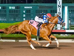 Los Alamitos