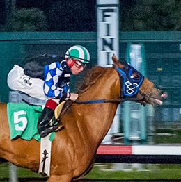 Los Alamitos
