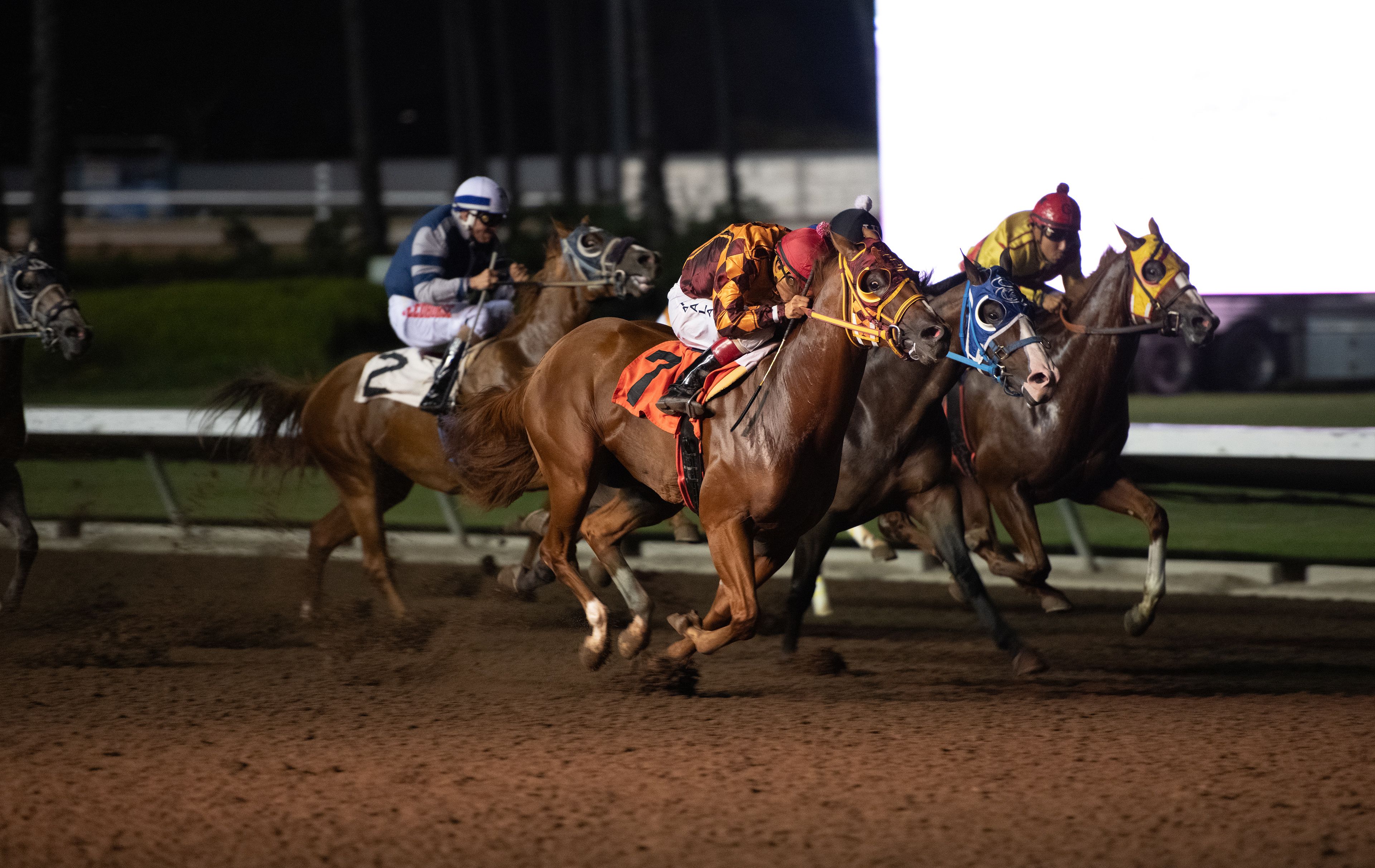 CV FDDDINASTY SHAN POSTS THE FASTEST QUALIFYING TIME FOR THE PCQHRA BREEDERS FUTURITY