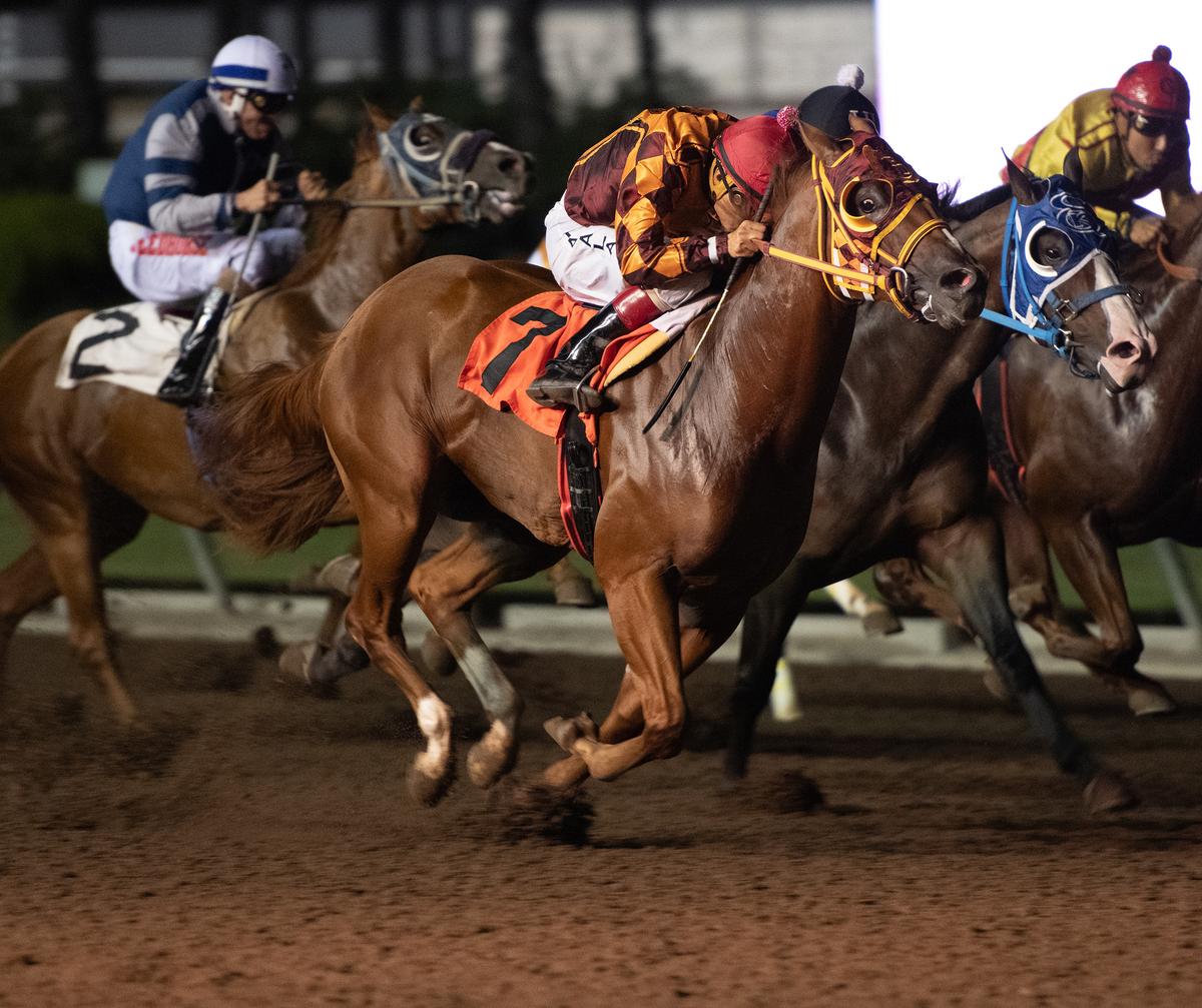 CV FDDDINASTY SHAN POSTS THE FASTEST QUALIFYING TIME FOR THE PCQHRA BREEDERS FUTURITY