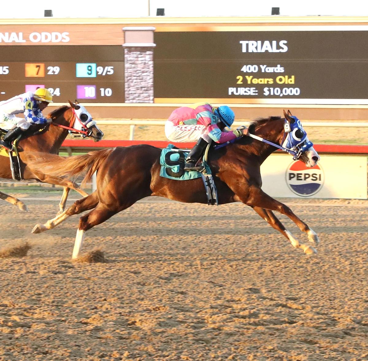 Kiss Me Ina Flash Tops Dash For Cash Futurity Trials at Lone Star Park