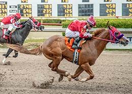 One Dashing Mind, under jockey Arturo Alvarez, posted the fourth fastest clocking in trial 3.