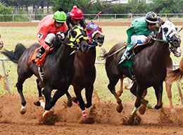 Gillespie County Fair