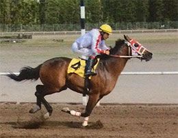 Jd Wagon Boss winning the 2017 John Deere Juvenile Challenge at Evergreen Park.