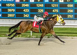 Rdd Reasons For B winning her trial to the Lassie Futurity.