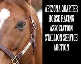 The Arizona Quarter Horse Racing Association will conduct its annual Stallion Service Auction online from January 1–30, 2026,