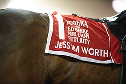 Jess Im Worth It gets his saddle towel prior to winning the Ed Burke Million Futurity on Sunday night.