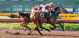 Malynche, under jockey Jesus Ayala, won the opening trial Saturday.