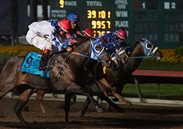Call Me Candela (#9), under jockey Jose Rosario Alcala, won the Grade 2 Robert Adair Kindergarten Futurity on Sunday at Los Alamitos Race Course.