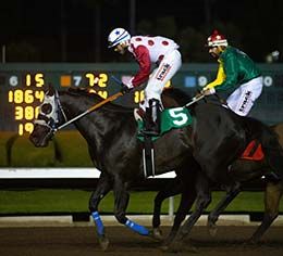 Moonist Stakes winner Cattail Cove returns under jockey Martin Arriaga following their win on Sunday night.