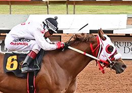 Ruidoso Downs