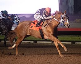 Multiple graded winner Political Twist and jockey Luis Martinez dominated the closing trial Sunday night.