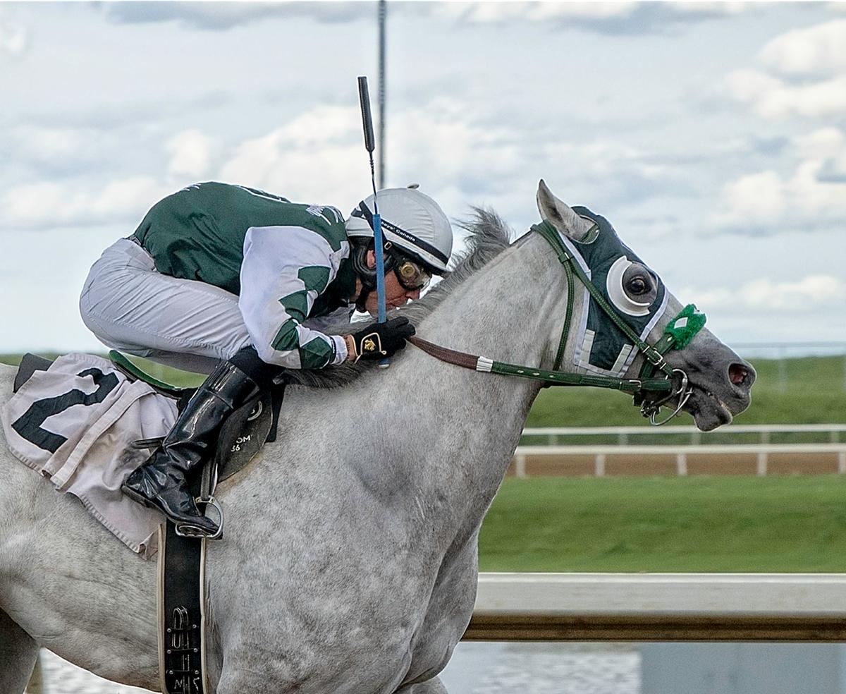 Flight Club Shatters 770-Yard Track Record in CTD Distance #3 Stakes at Century Downs